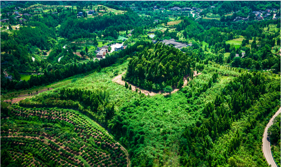 ��¹��ﾰ���ζ�ɽ