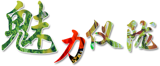 ������¤